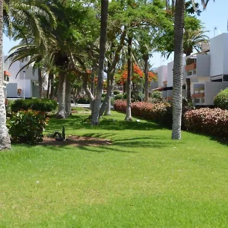 Apartment Costa Del Silencio Arona (Tenerife)